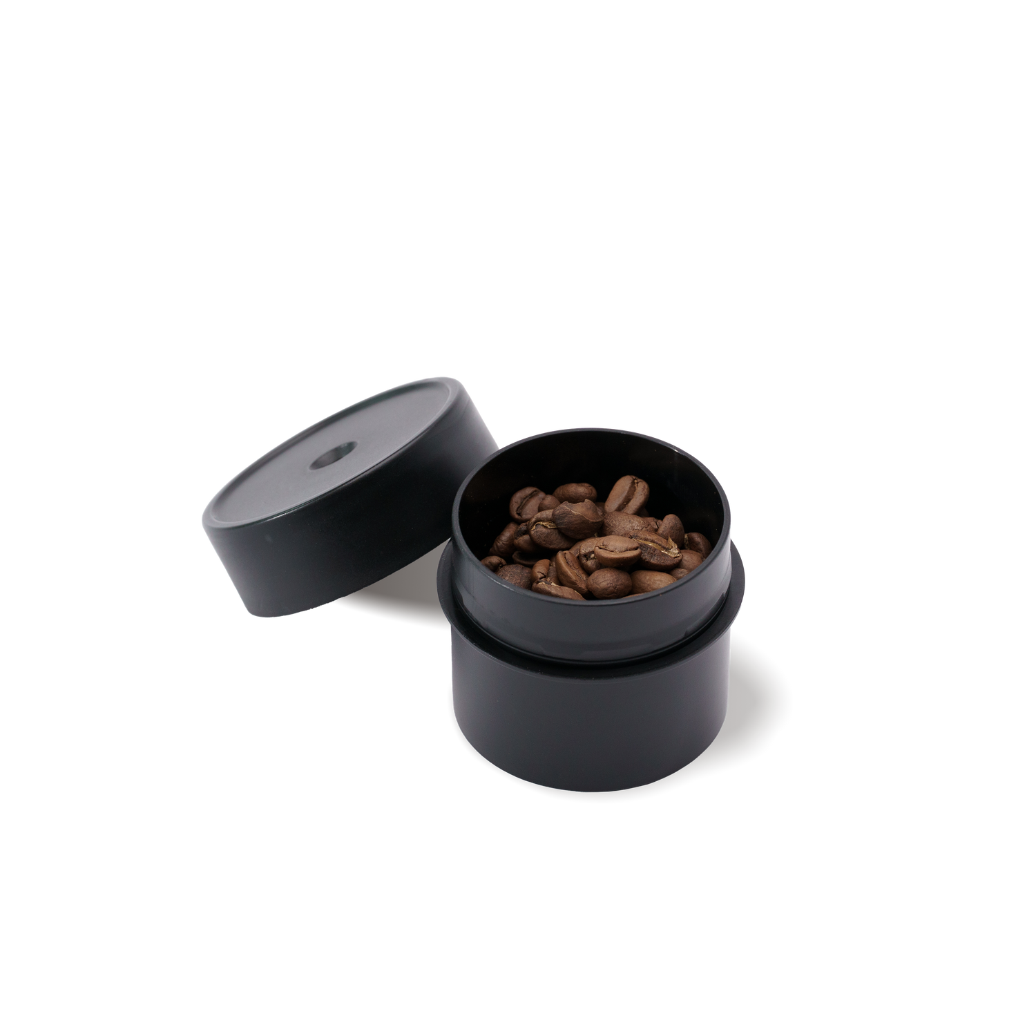 Bean Cellar Shorty