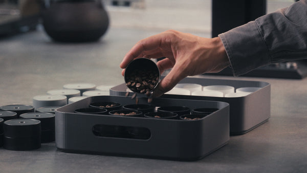 BEAN CELLAR SHORTY Polymer